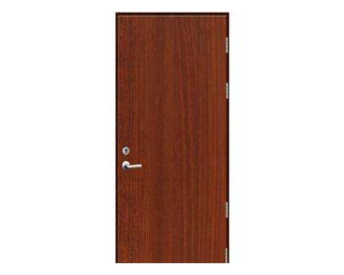 福建福州单开木质防火门